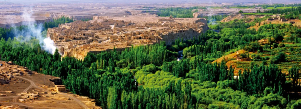 中国十大股票配资公司 古灯界的“显眼包”来了